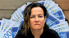 צופית גרנט, צילום: יונתן זינדל פלאש 90